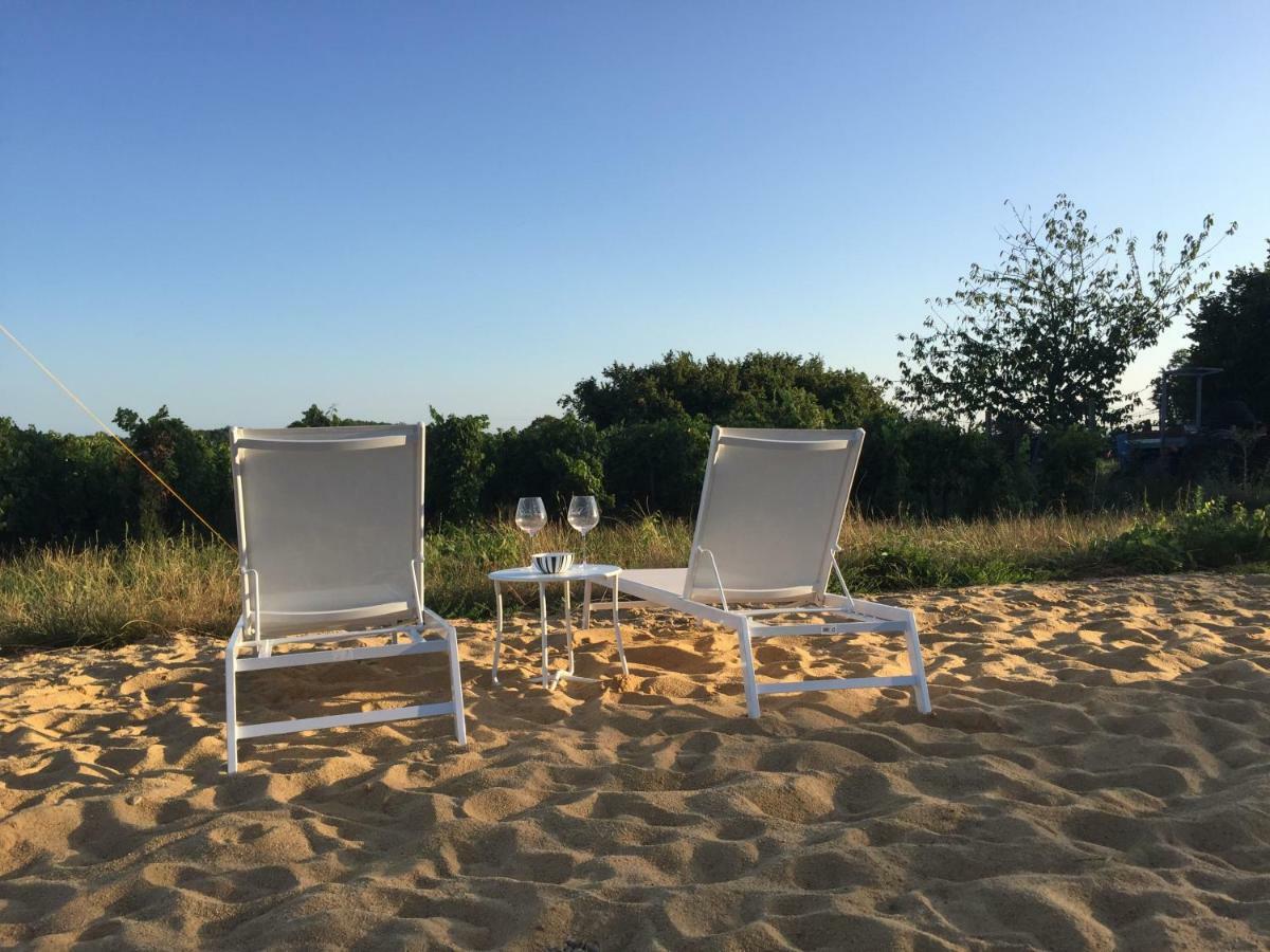 Bed and Breakfast Chez Henri Belves-de-Castillon Экстерьер фото